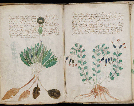 The Voynich Manuscript