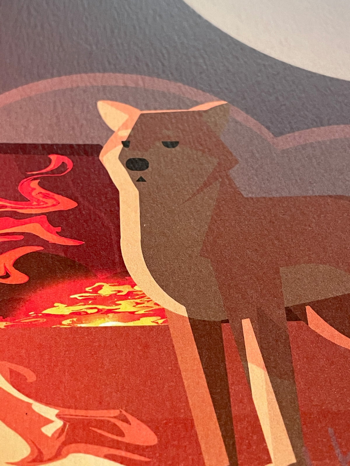 Australia Wildlife Bushfire Notebooks
