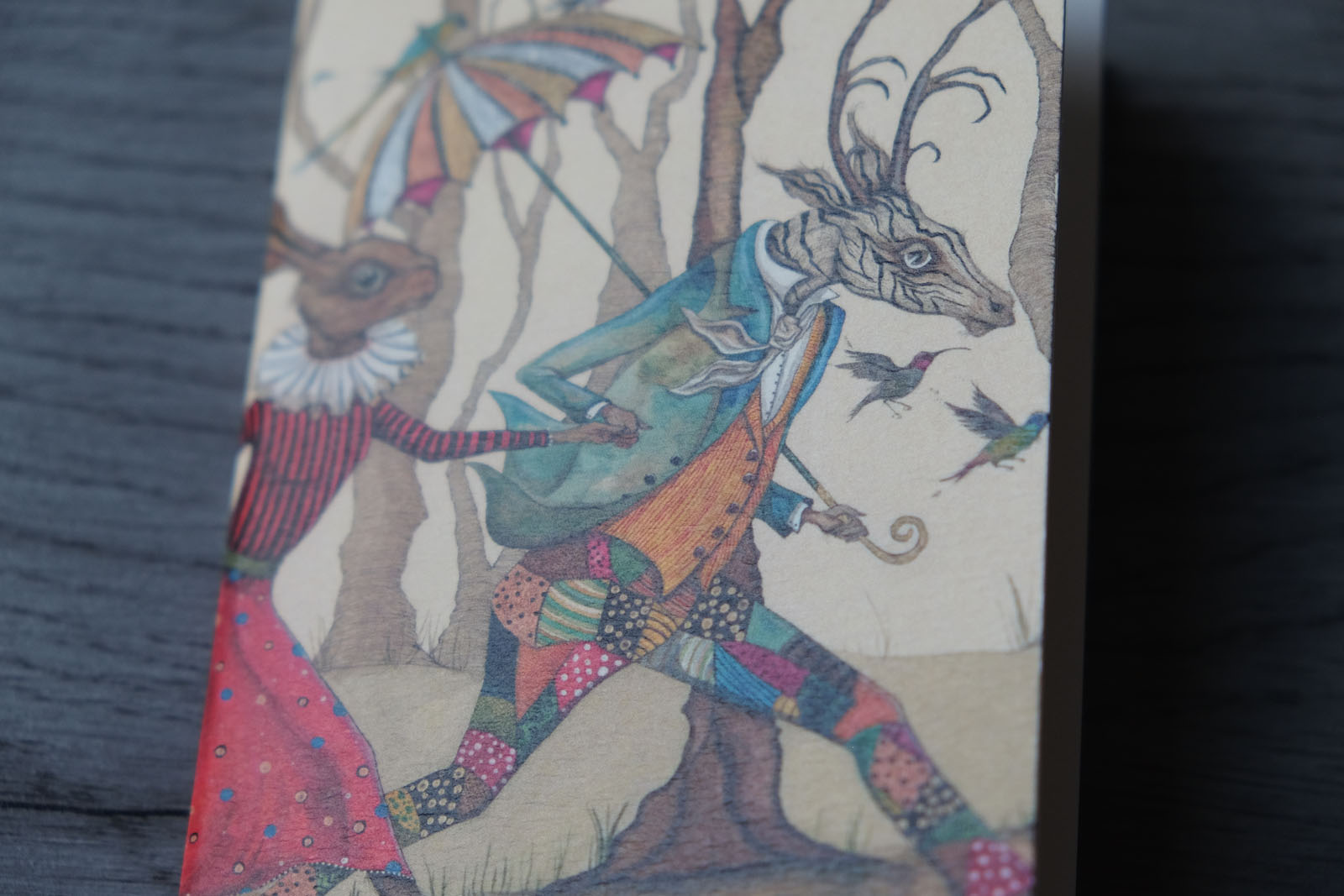EC Woodard Illustrated Notebooks