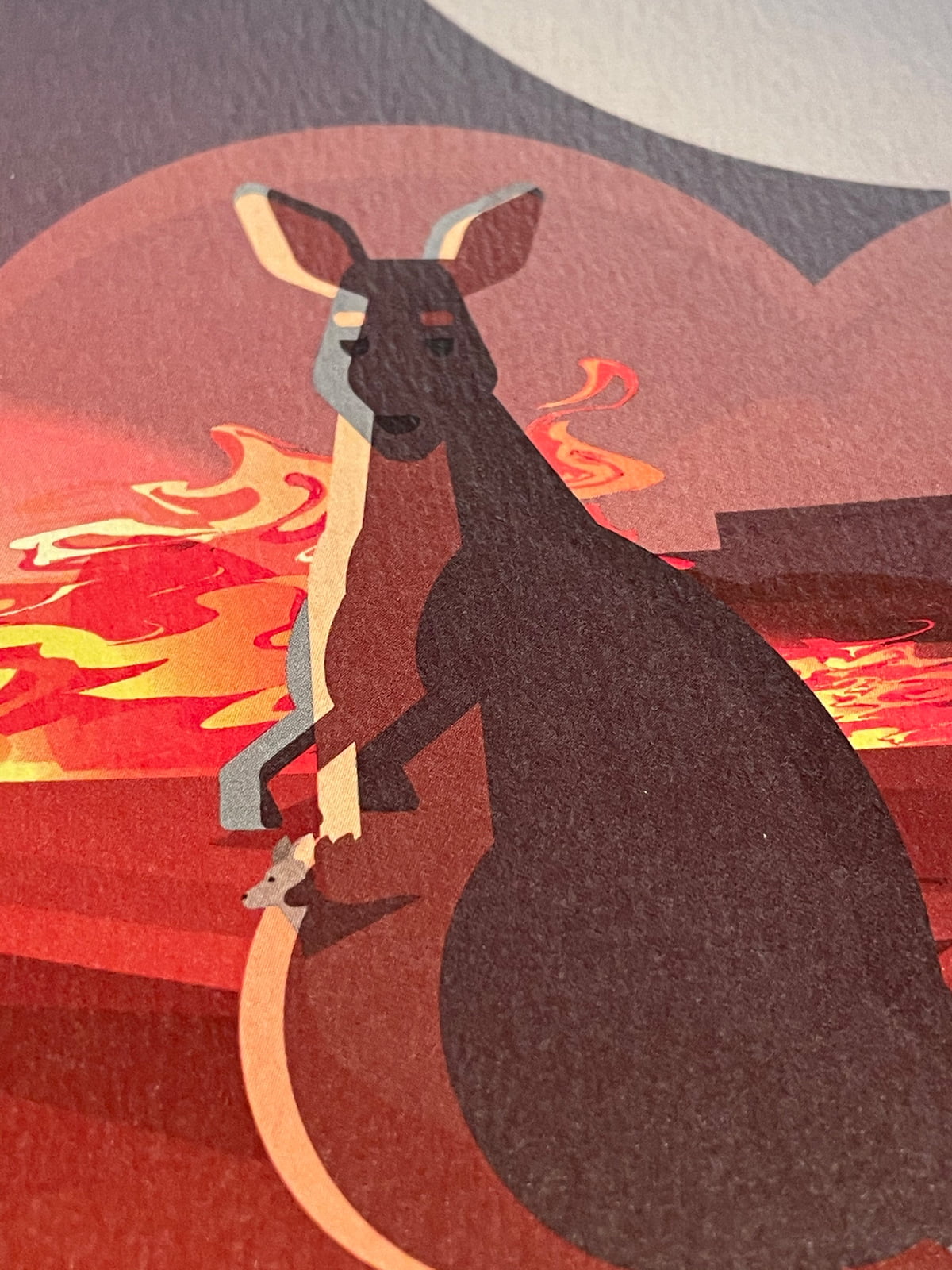 Australia Wildlife Bushfire Notebooks