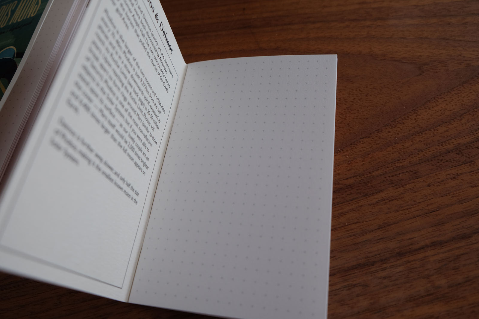 SpaceX Notebooks Phobos & Deimos inner grid