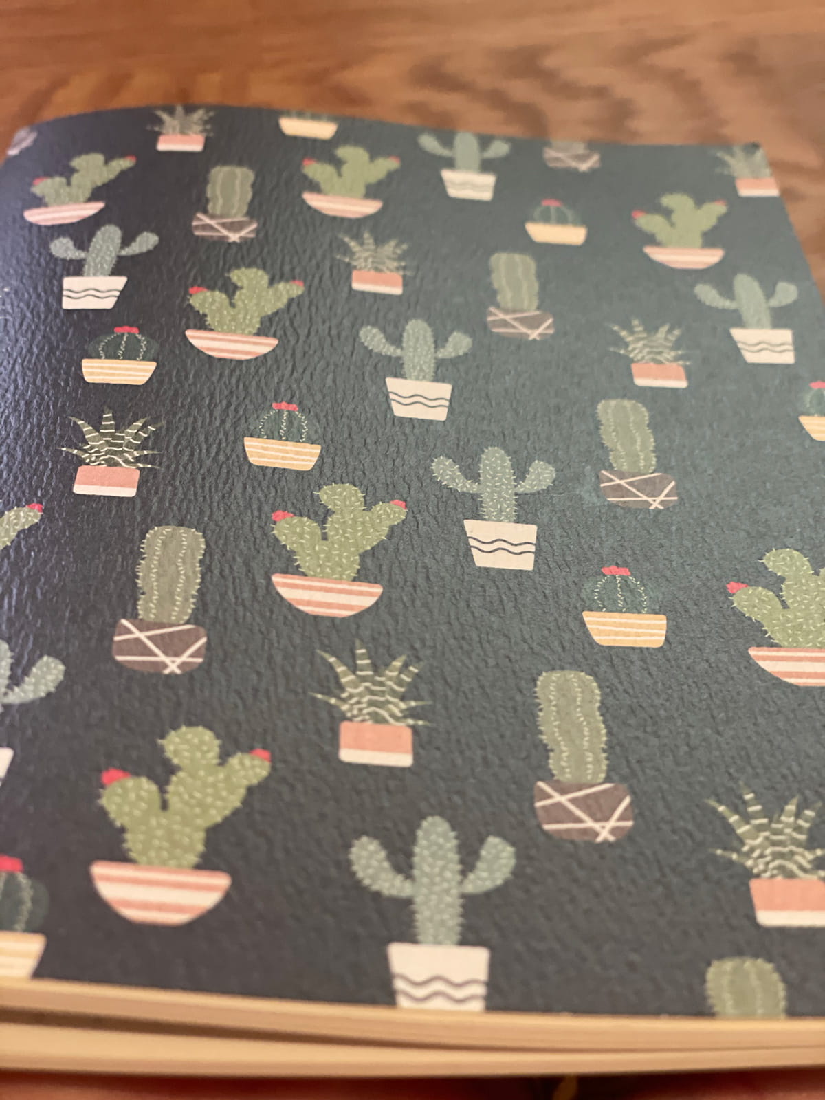 Cactus Jack Notebooks